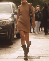 Casual Turtleneck Sweater Dress