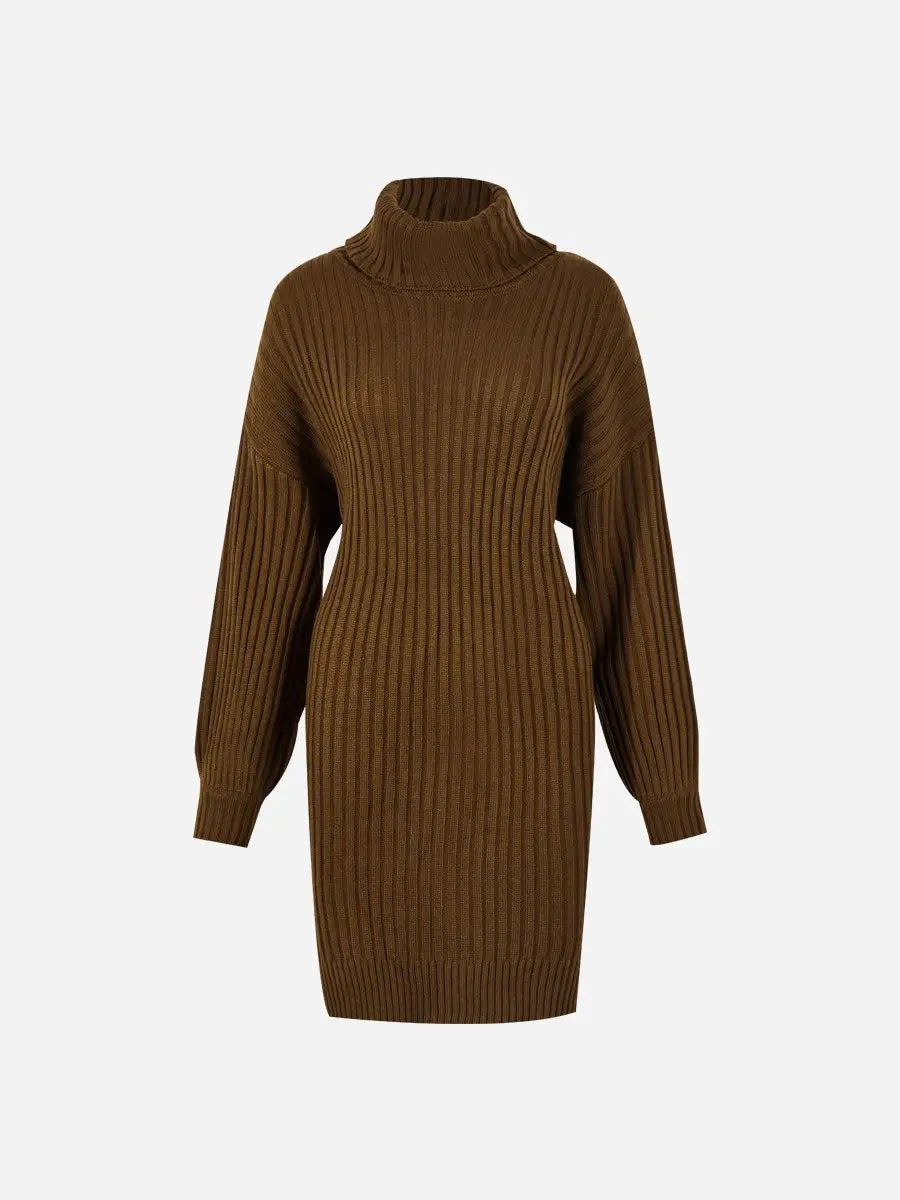 Turtleneck Length Sweater Knit Midi Dress