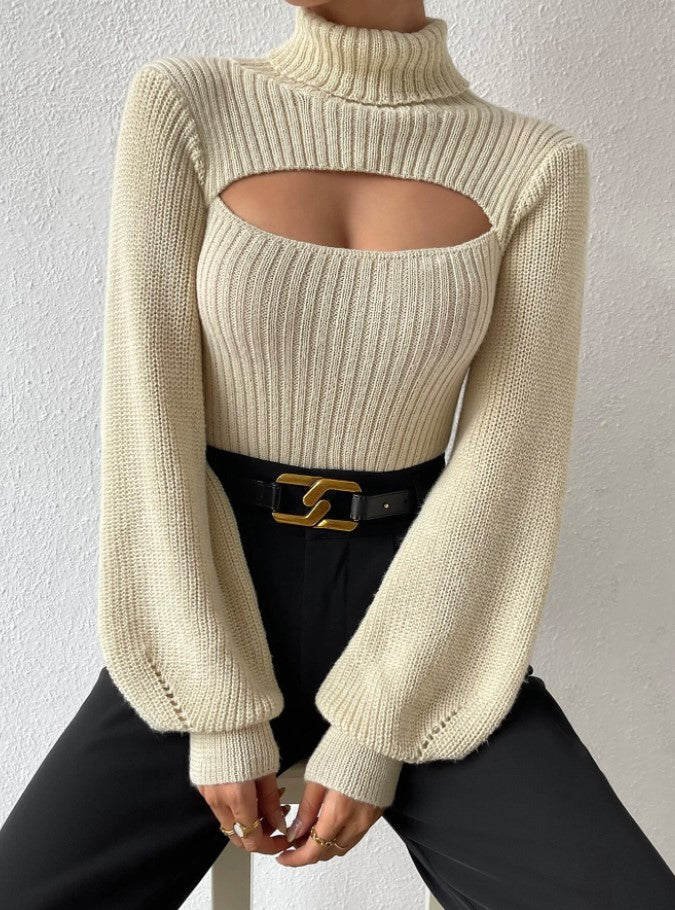 Design Sense Turtleneck Women's Knitted Sweater