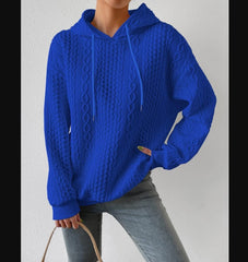 Solid Color Knit Hooded Sweater