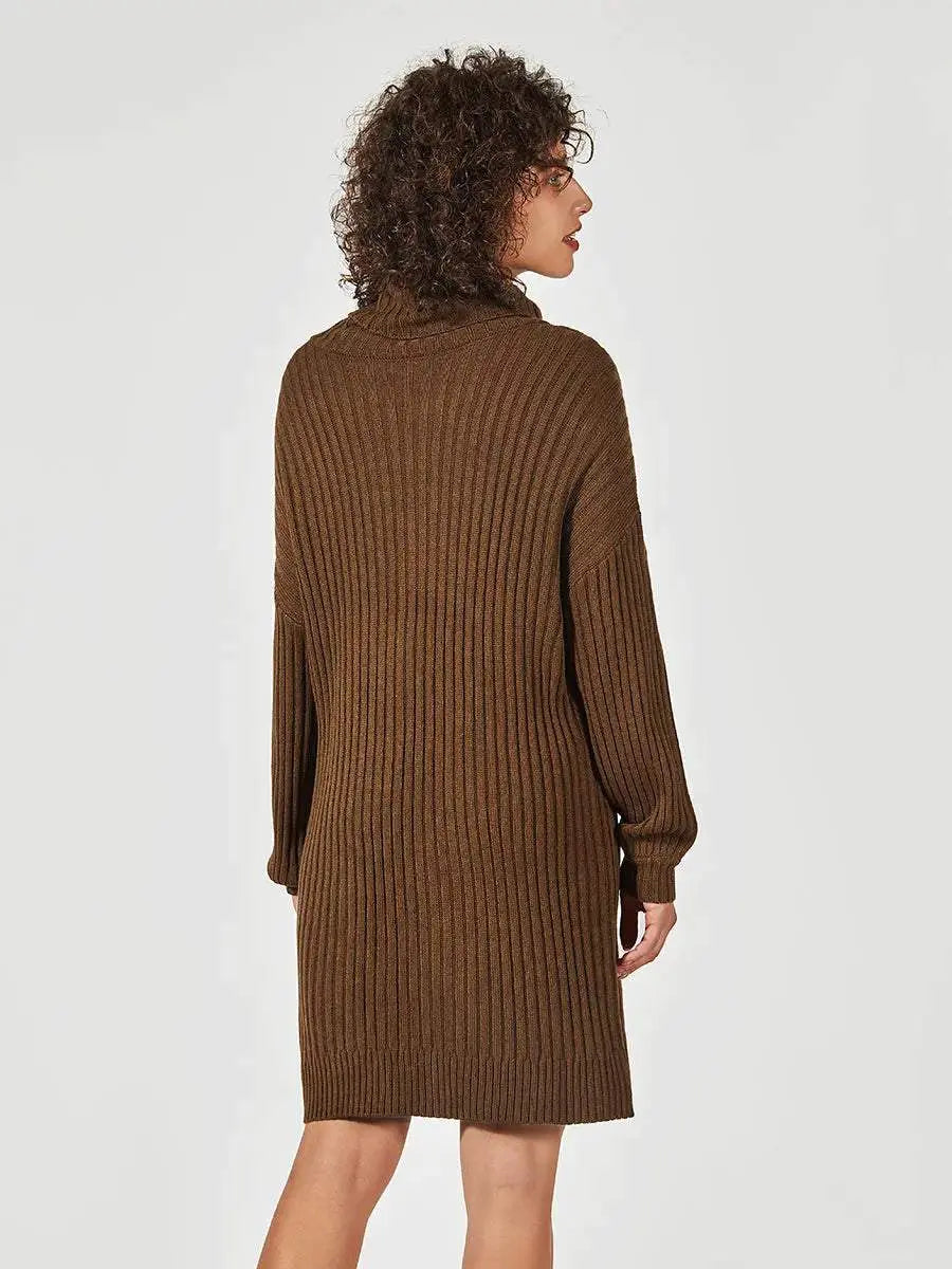 Turtleneck Length Sweater Knit Midi Dress